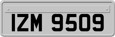 IZM9509