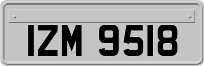 IZM9518