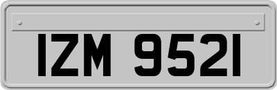 IZM9521