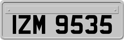 IZM9535