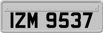 IZM9537