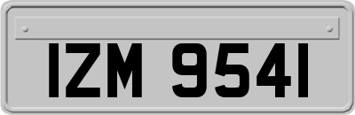 IZM9541