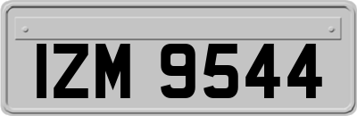 IZM9544