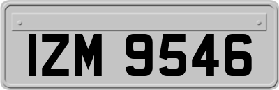 IZM9546