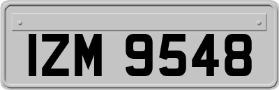 IZM9548