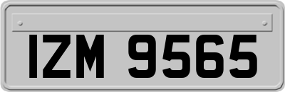 IZM9565