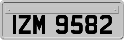IZM9582