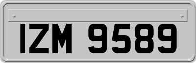 IZM9589