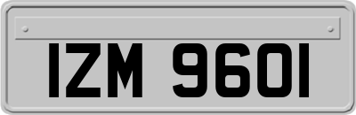 IZM9601