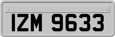 IZM9633
