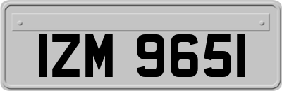 IZM9651