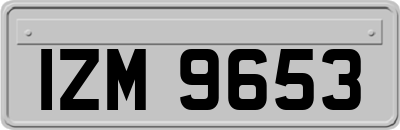 IZM9653