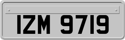 IZM9719