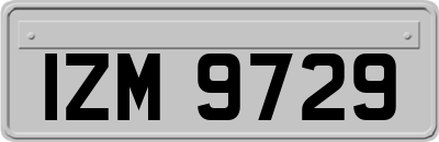 IZM9729