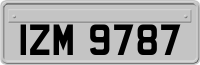 IZM9787