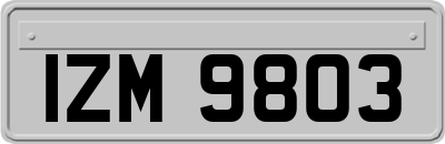 IZM9803