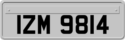 IZM9814