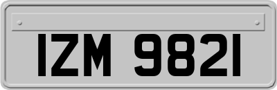 IZM9821