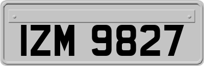 IZM9827