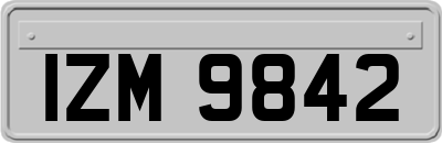 IZM9842