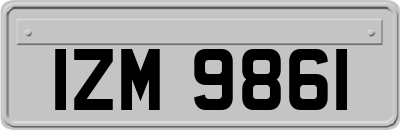 IZM9861