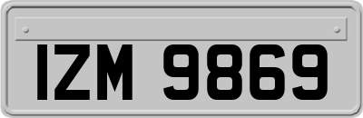 IZM9869