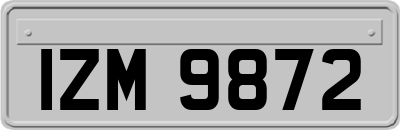 IZM9872