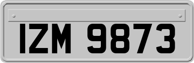 IZM9873