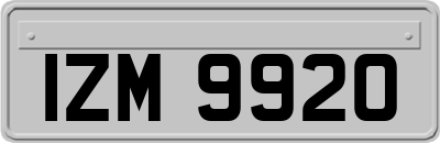 IZM9920
