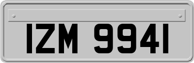 IZM9941