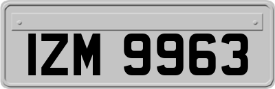 IZM9963
