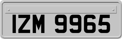 IZM9965