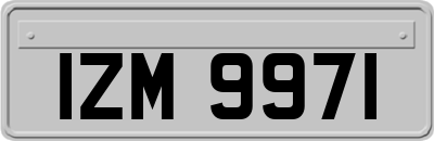 IZM9971