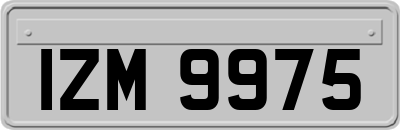 IZM9975