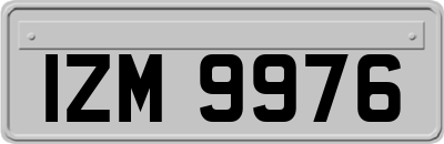 IZM9976