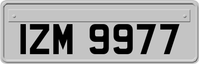 IZM9977