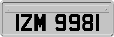IZM9981