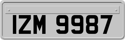 IZM9987