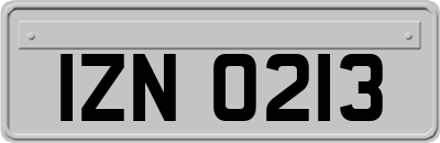 IZN0213