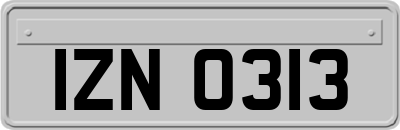 IZN0313