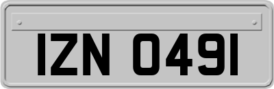 IZN0491