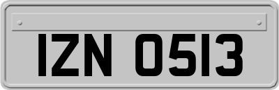 IZN0513