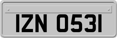 IZN0531