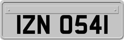 IZN0541