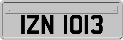 IZN1013