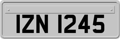 IZN1245