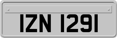 IZN1291