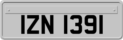 IZN1391