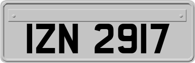 IZN2917