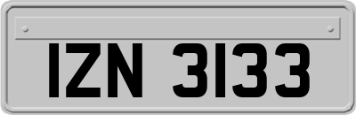 IZN3133